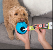 *JOLLYPET Fill'n Treat Peanut Butter 5oz