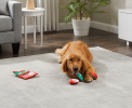 *OUTWARD HOUND Holiday Snack Bag Gum Drops