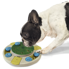 ETHICAL/SPOT Seek-A-Treat Spinner Puzzle