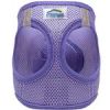 Paisley Purple