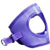 Paisley Purple