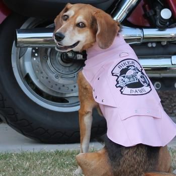 Biker Dawg - Pink