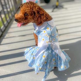 Blue Daisy Dog Dress with Matching Leash (Option: Small)