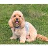 Blue Daisy Cool Mesh Netted Harness