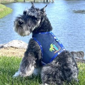Surfboard Blue and Green Cool Mesh Dog Harness with Matching Leash (Option: X-SMALL)