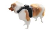 Broad GPS GSM Wireless Pet Tracking Collars