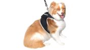 Broad GPS GSM Wireless Pet Tracking Collars