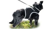Broad GPS GSM Wireless Pet Tracking Collars