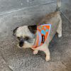 Orange Dog Bandana Hi Visibility Reflective Blaze Orange Bandana for Large Pets Safety Accessories for Walking Camping and Off Leash Exploratio