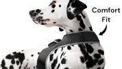 Broad GPS GSM Wireless Pet Tracking Collars