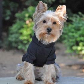 Flex-Fit Hoodie- Black (Option: 3X-LARGE)
