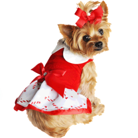 Christmas Candy Cane Dress and Matching Leash (Option: Large)
