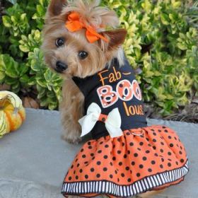 Halloween Fab-BOO-Lous Dress and Matching Leash (Option: X-LARGE)