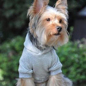 Flex-Fit Hoodie- Gray (Option: X-LARGE)