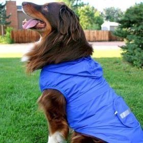 Packable Raincoat - Blue (Option: X-LARGE)
