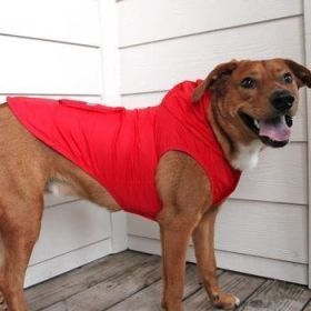 Packable Raincoat - Red (Option: Medium)