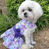 Blue Lagoon Hawaiian Hibiscus Dress