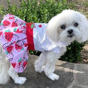 Strawberry Picnic  Harness Dress with Matching Leash (Option: X-SMALL)