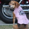 Biker Dawg - Pink