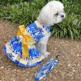 Catching Waves Harness Dress with Matching Leash (Option: Small)