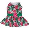 Watermelon Dog Dress.