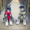 Venture Paw Harness - Aspen -