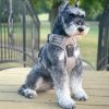 Venture Paw Harness - Aspen -